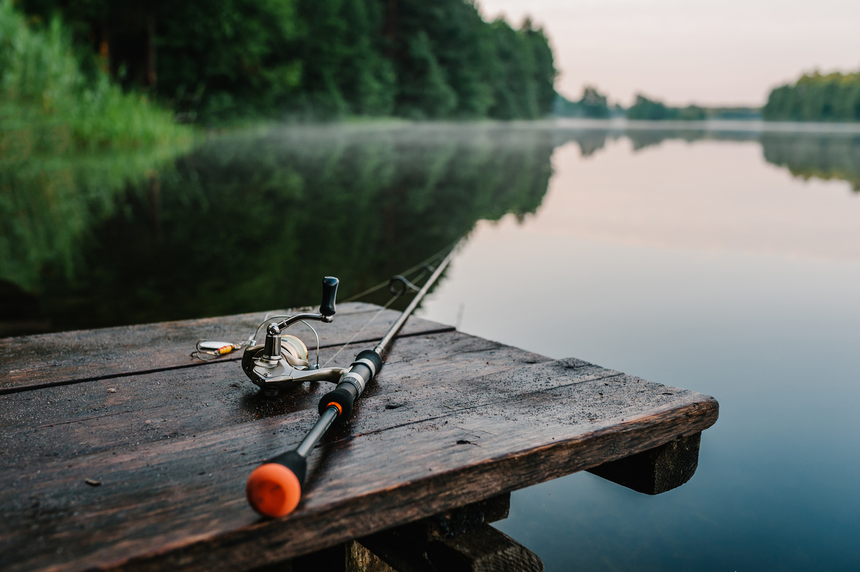 Linden, MI - Diversified Docks and Lifts - dock%20accessories